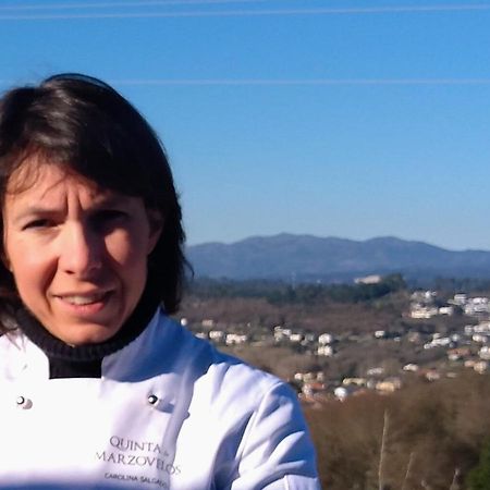 Quinta De Marzovelos Визеу Экстерьер фото
